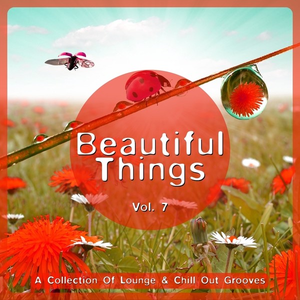 Beautiful things минус. Beautiful things слушать. Va - beautiful things Vol. 4. Va - beautiful Drum Vol.7. Nocturnal Whisper - smooth Chill out Grooves.